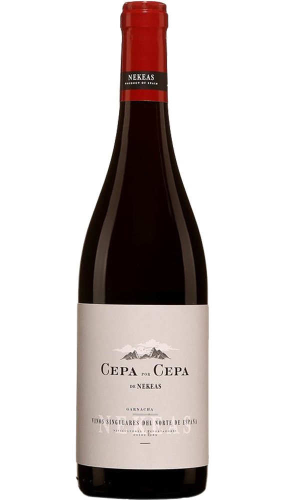 Cepa x Cepa