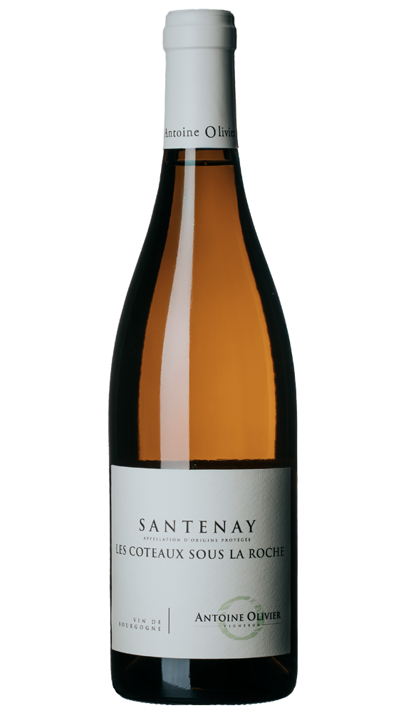 Santenay les Côteaux sous la Roche