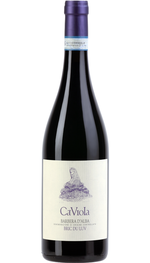 Barbera d'Alba Bric du Luv
