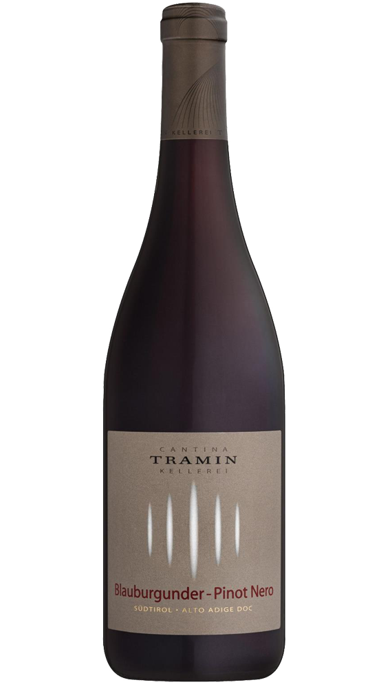 Pinot noir Tramin