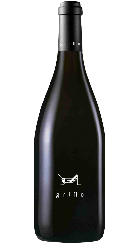 Grillo