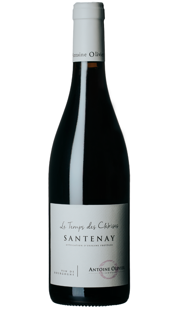 Santenay le temps des c(e)rises