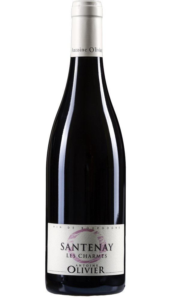 Santenay Les Charmes