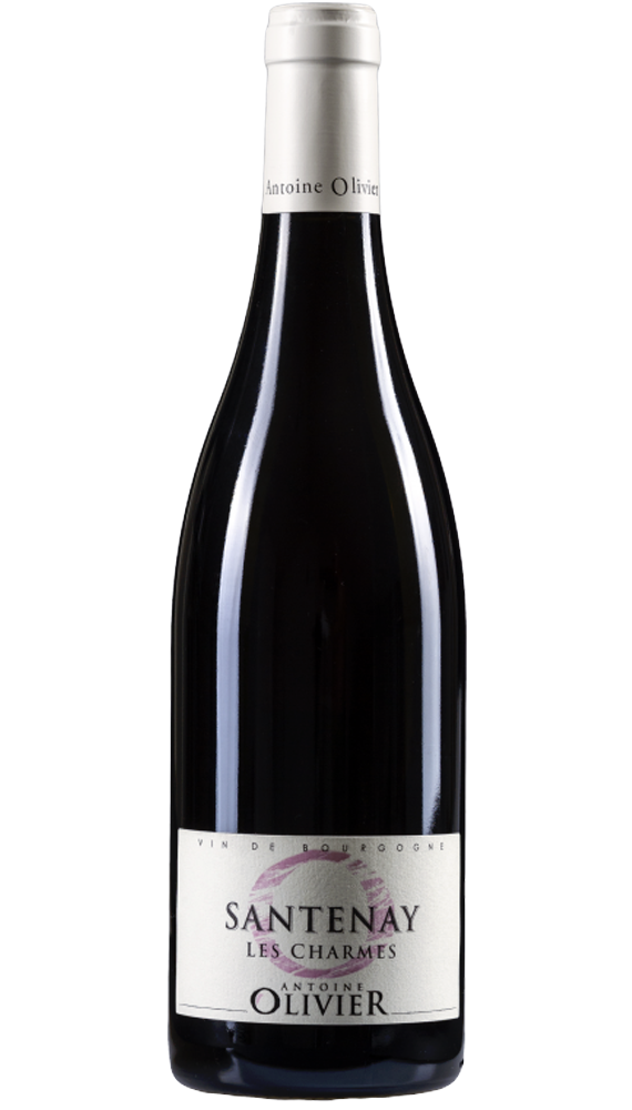 Santenay Les Charmes 1.5L