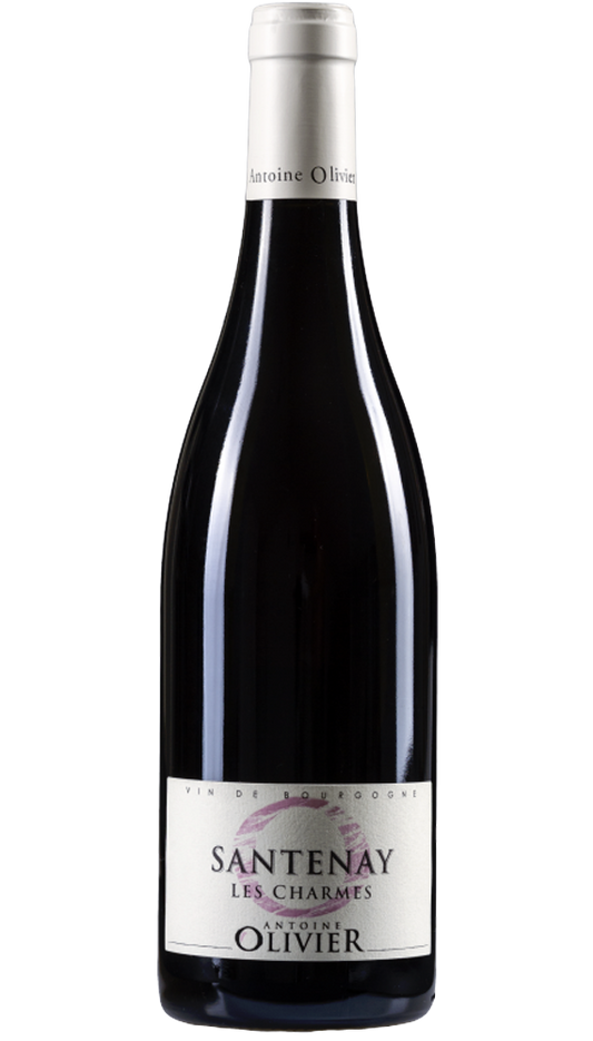 Santenay Les Charmes 1.5L