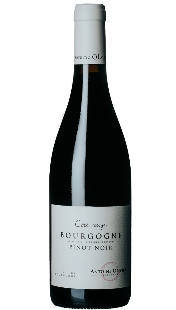 Côté Rouge Bourgogne Rouge Antoine Olivier