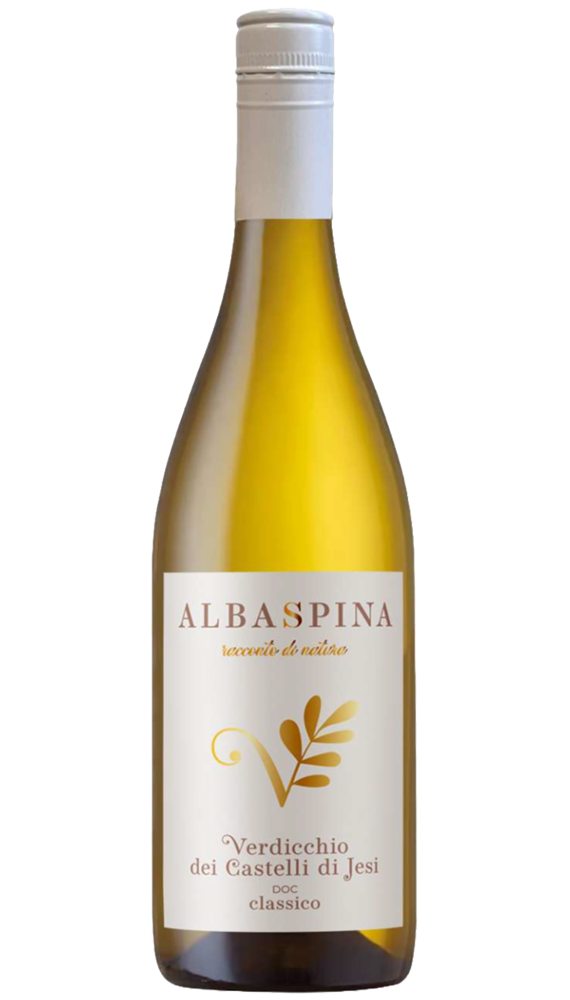 Albaspina Verdicchio