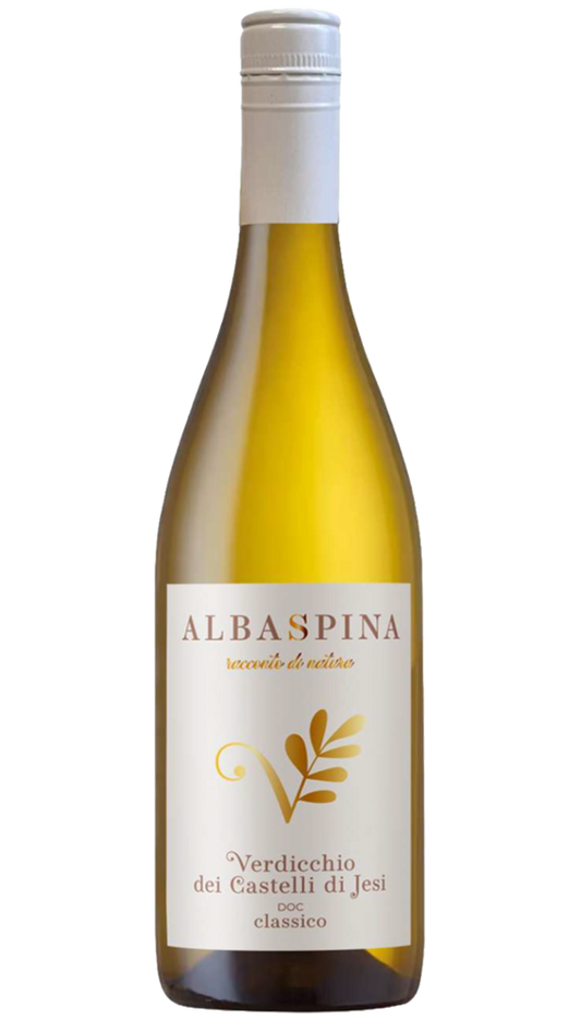 Albaspina Verdicchio