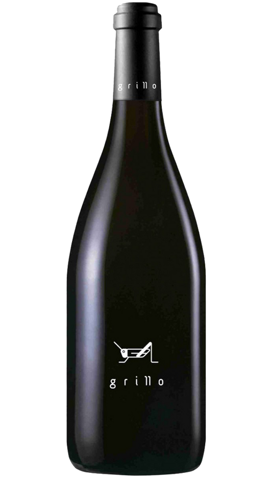 Grillo