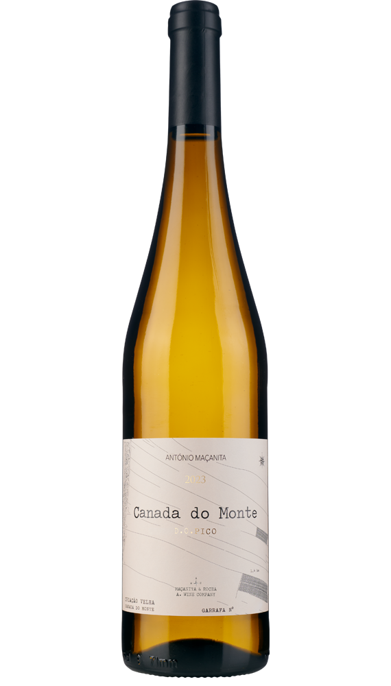Canada do Monte